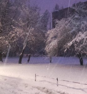 Lenkija skęsta sniege, į Lietuvą savaitgalį atkeliauja šalčiai