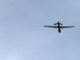 AFP/Scanpix nuotr./Nepilotuojamas amerikiečių lėktuvas Predator