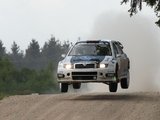 Eriko Ovčarenko/15min.lt nuotr./Šalies ralio specialistų nuomone, sutrukdyti pakartoti pernai metų sėkmę Vilniaus ralyje galingu „Škoda Fabia WRC“ automobiliu važiuosiančiam S.Girdauskui gali tik technika arba klaida.