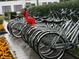 Šiemet Palangoje pavogta itin daug dviračių.