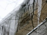 Eriko Ovčarenko/15min.lt nuotr./Varvekliai - pastatų savininkų galvos skausmas