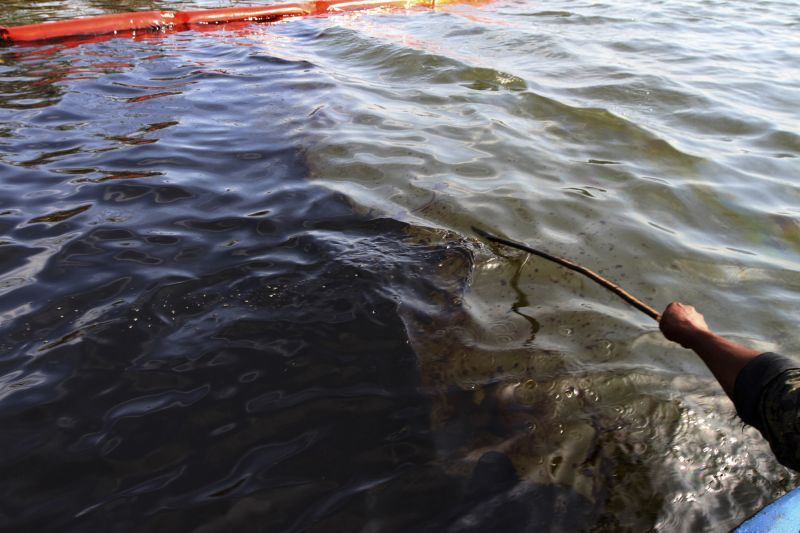 Reuters/Scanpix nuotr./Iasiliejusi nafta Nigerio upėje