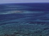 „Reuters“/„Scanpix“ nuotr./Belizo koraliniai rifai