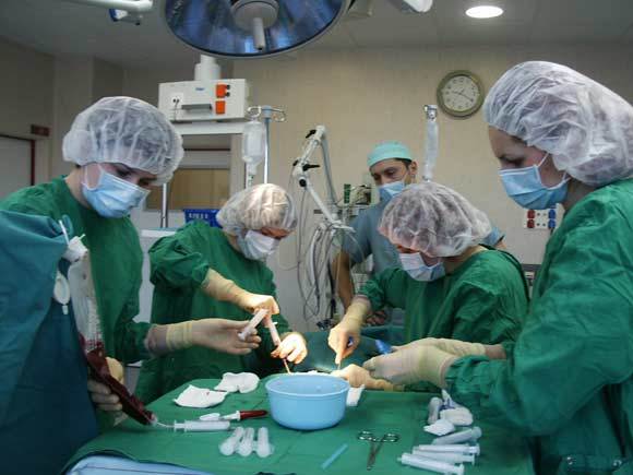 Vaikų ligoninės nuotr./Kaulų čiulpų transplantacija