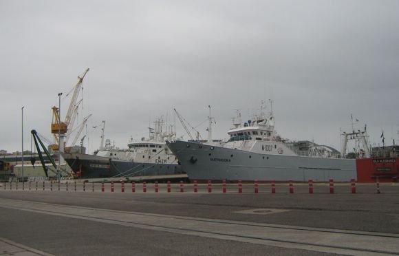 E.Garnelytės nuotr./Laivai Vigo uoste