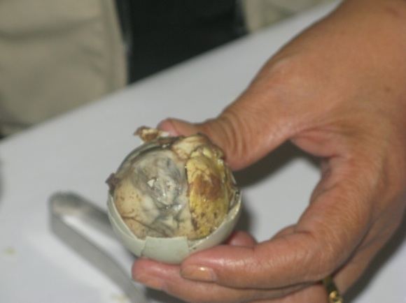 A.Afanasjev nuotr./Balut  ančiuko embrionas, filipiniečių embrionas