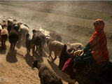 Naseero Fedayee (Afganistanas) nuotr./Ghor province