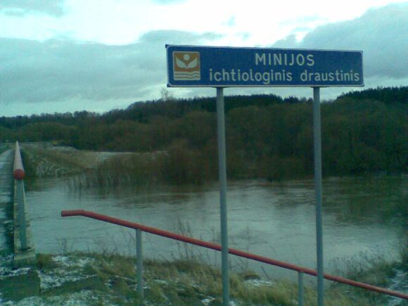 15min.lt nuotr. /Pakilęs Minijos vanduo.