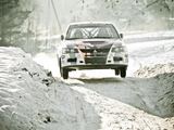 Andriaus Lauciaus nuotr./„Halls Winter Rally“ varžybų akimirka