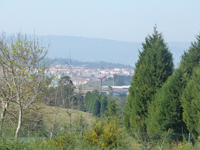 E.Garnelytės nuotr./Tiksliau tariant, turėtų matytis, jei ne aie medžiai