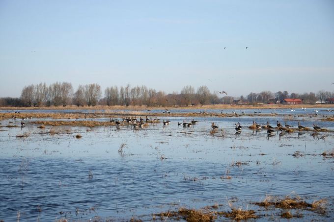 Lietuvos jūrų muziejaus nuotr./Nemuno deltos regioninis parkas