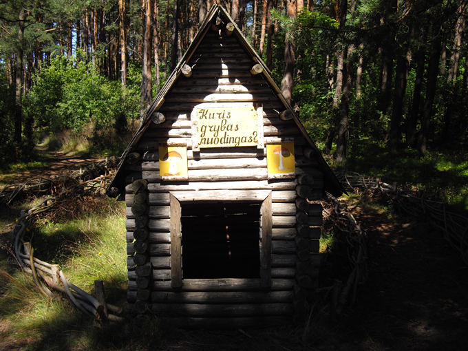 R.Staniulytės nuotr. /Ežio takas