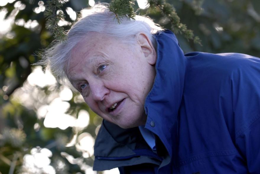 Scanpix nuotr./Didžiosios Britanijos dokumentinių filmų apie gamtą kūrėjas seras Davidas Attenborough