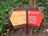 Valstybinės saugomų teritorijų tarnybos nuotr./Karoliniškių draustinis