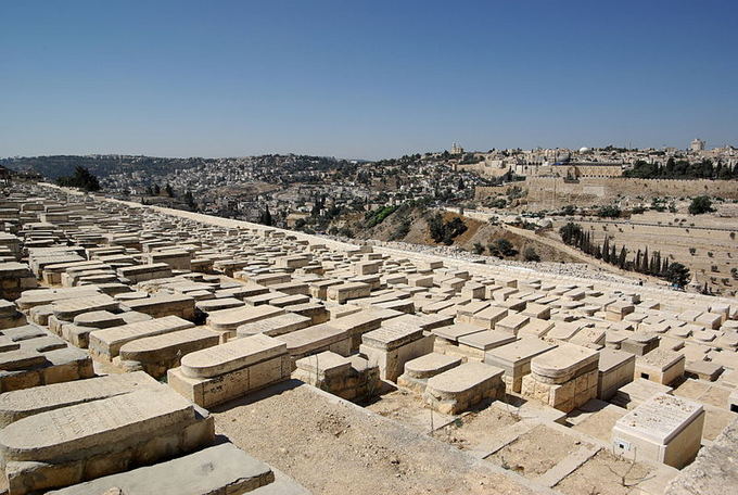 wikimedia.org nuotr./Alyvų kalnelis Jeruzalėje