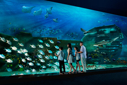 Reuters/Scanpix nuotr./Singapūre atsidarė didžiausias pasaulio okeanariumas S.E.A. Aquarium