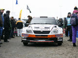 Algirdo Venskaus (waska.lt) nuotr./Halls Winter Rally 2013