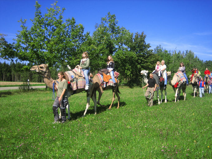 kamelhof.de nuotr./Kupranugarių ūkis