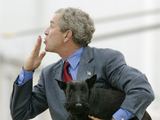  George’o W. Busho šuo Barney