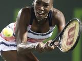 Venus Williams