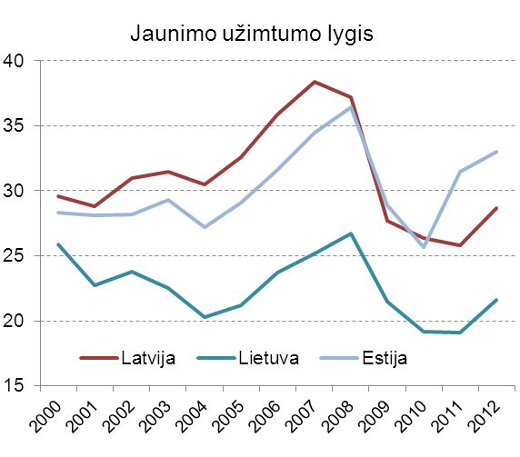 Jaunimo užimtumo lygis