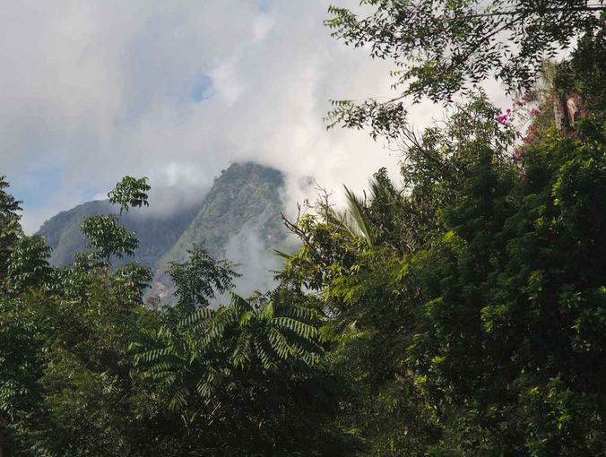 Evelinos ir Karolio nuotr. /Morogoro