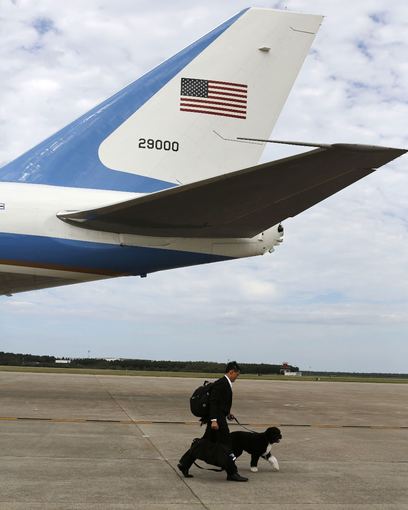 Reuters/Scanpix nuotr./Obamų šeimos šuo Bo