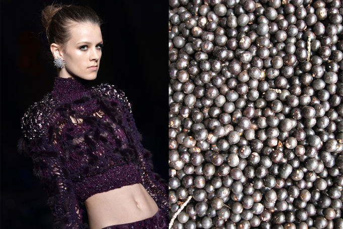 Scanpix ir Shutterstock nuotr. / Ia kairės: Atelier Versace modelis aukatosios mados savaitėje Paryžiuje, acai uogos.