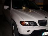 15min.lt nuotr./Katė ant BMW visureigio