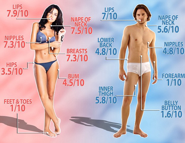 „The Dailymail“ iliustracija/Seksualiausios žmonių kūno dalys