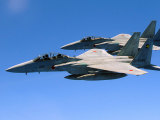 http://commons.wikimedia.org/Angelique Perez (JAV KOP) nuotr./Japonijos naikintuvai „Mitsubishi F-15 Eagle“