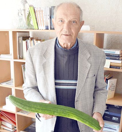 Gendrutis Čeponis sakė, kad naują agurkų veislę jis pabandė auginti pirmą kartą ir liko patenkintas, nors metai daržininkystei ir nebuvo palankūs.