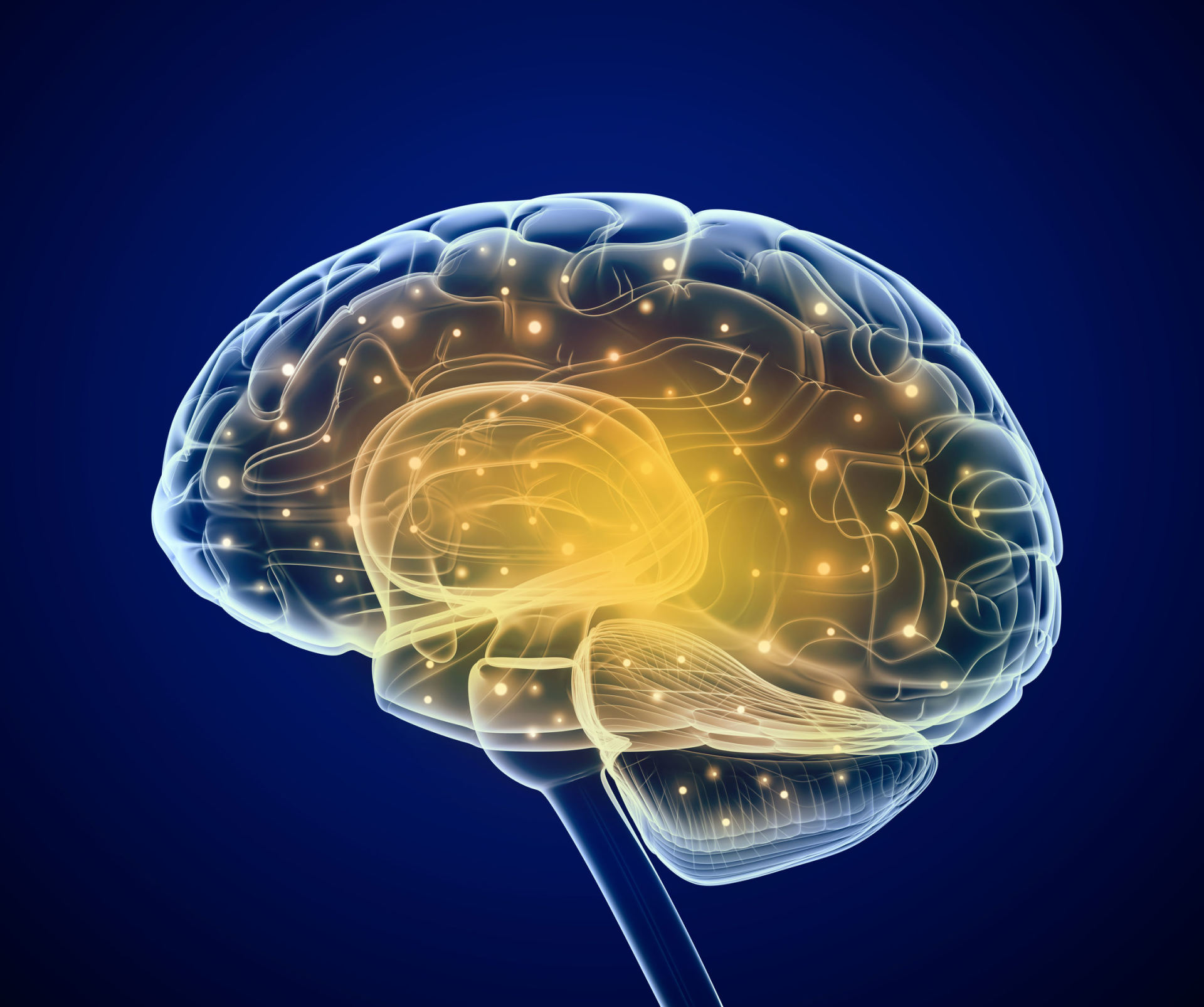 Smegenys: pasakojimas apie tave | David Eagleman | download