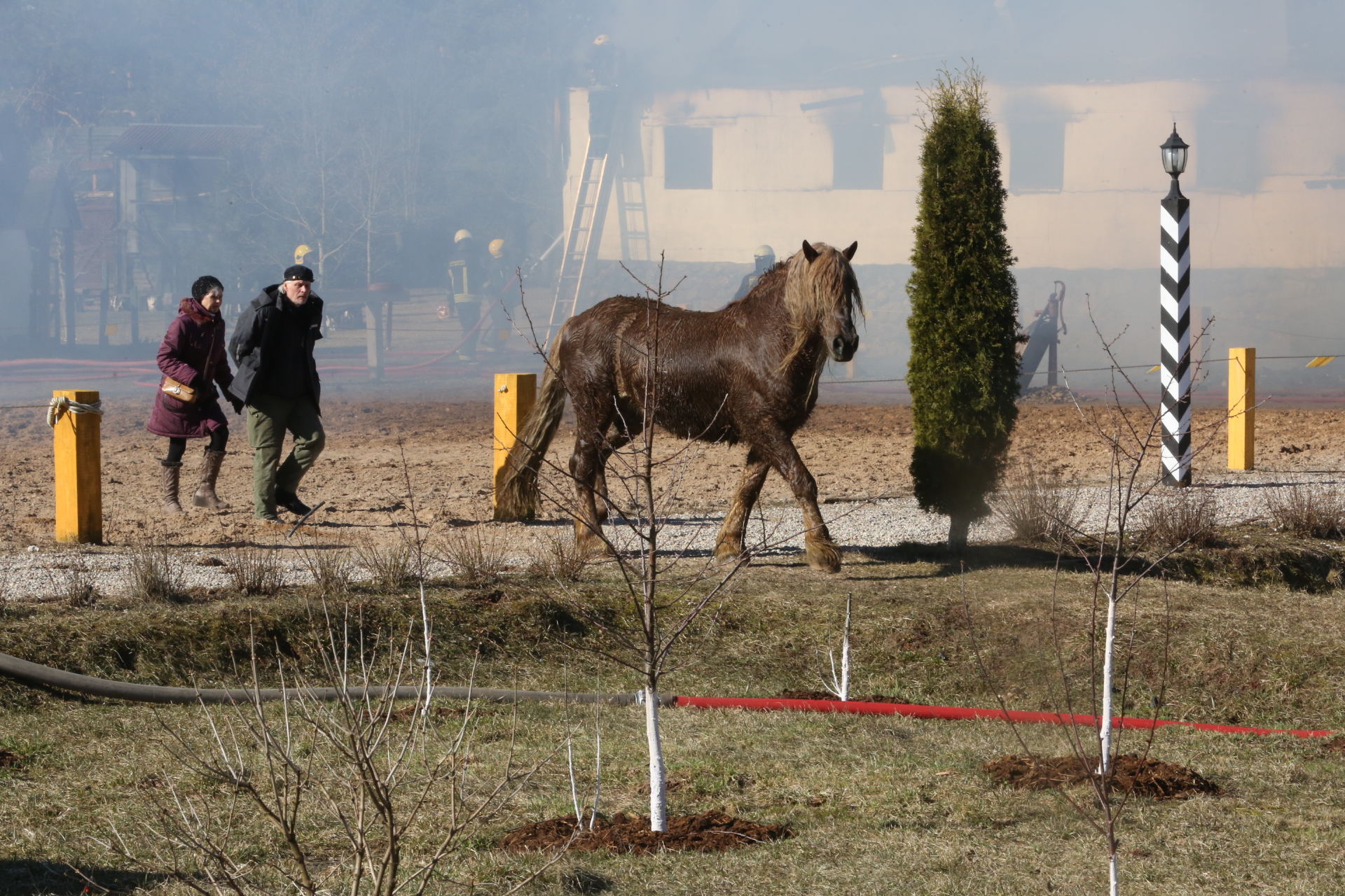 Liepsnojo Purnuškių Arklidės 15minlt