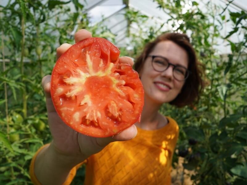 Asmeninio archyvo nuotr./Lina Liubertaitė pasakoja, kaip genėti pomidorus