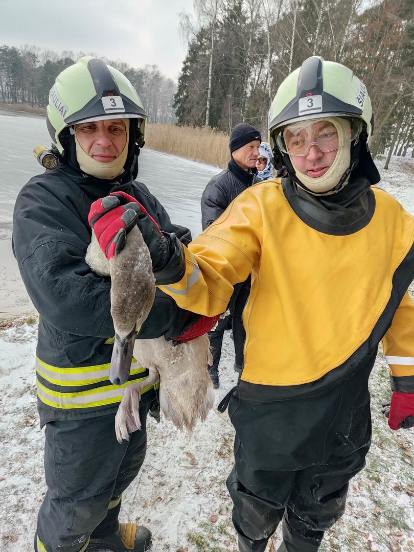 Šiaulių rajone ugniagesiai vadavo „vandenų karalienę“: į koją buvo įstrigęs žvejo kabliukas