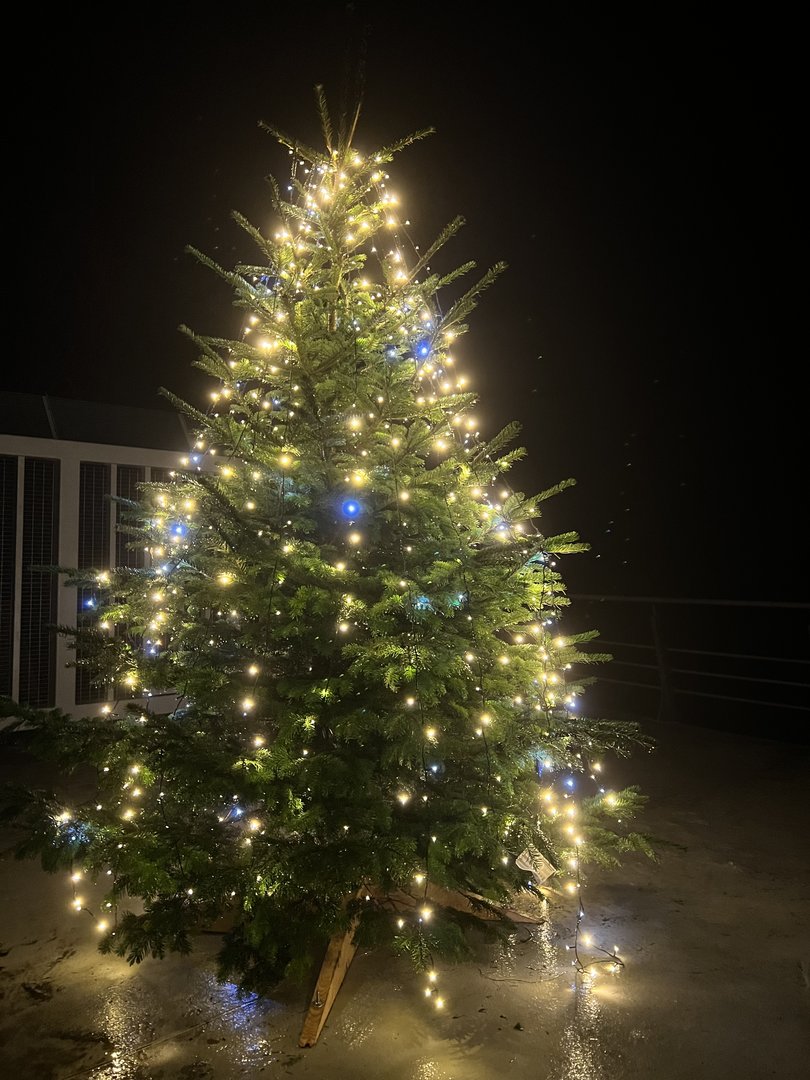 Kalėdinė eglutė laukia ir ant šiaurinio molo Klaipėdoje