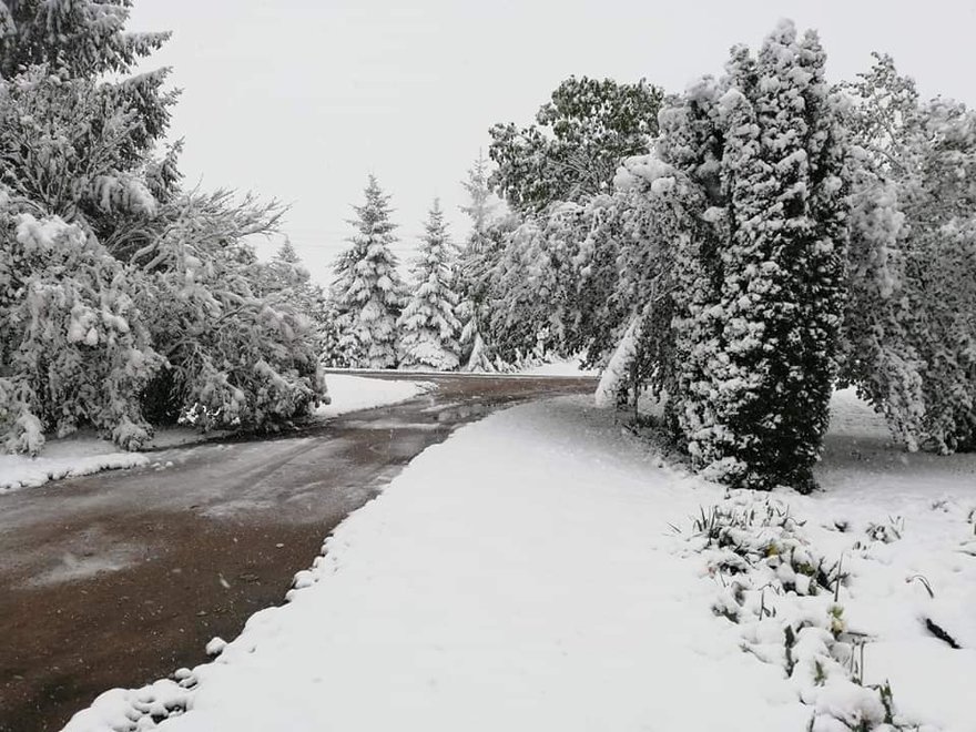 Neįtikėtina: prieš 3 metus Lietuvos orai nelepino – per sniegą reikėjo bristi