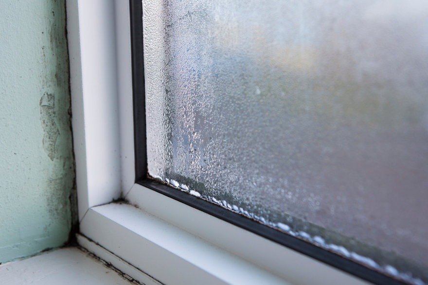 Namuose drėgna, kaupiasi kondensatas ant langų. Kaip apsaugoti savo namus nuo pelėsio?