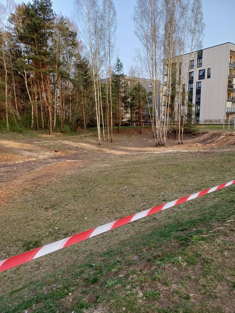 Už neteisėtai Vilniuje Priegliaus g. iškirstus medžius įmonei teks atlyginti daugiau nei 11 tūkst. eurų žalą