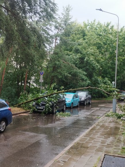 Neįtikėtina lietuviška vasara: vienur – sausra, kitur – žemė neišdžiūsta