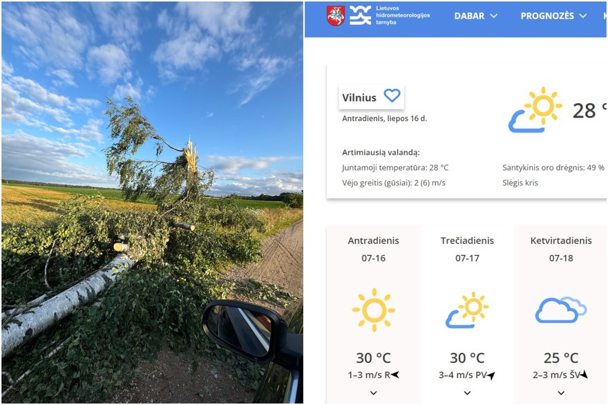Lūžta medžiai, bet nebe meteo.lt portalas: didelio vartotojo srauto problema – jau praeityje