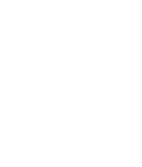 PRO BRO ECW logo white