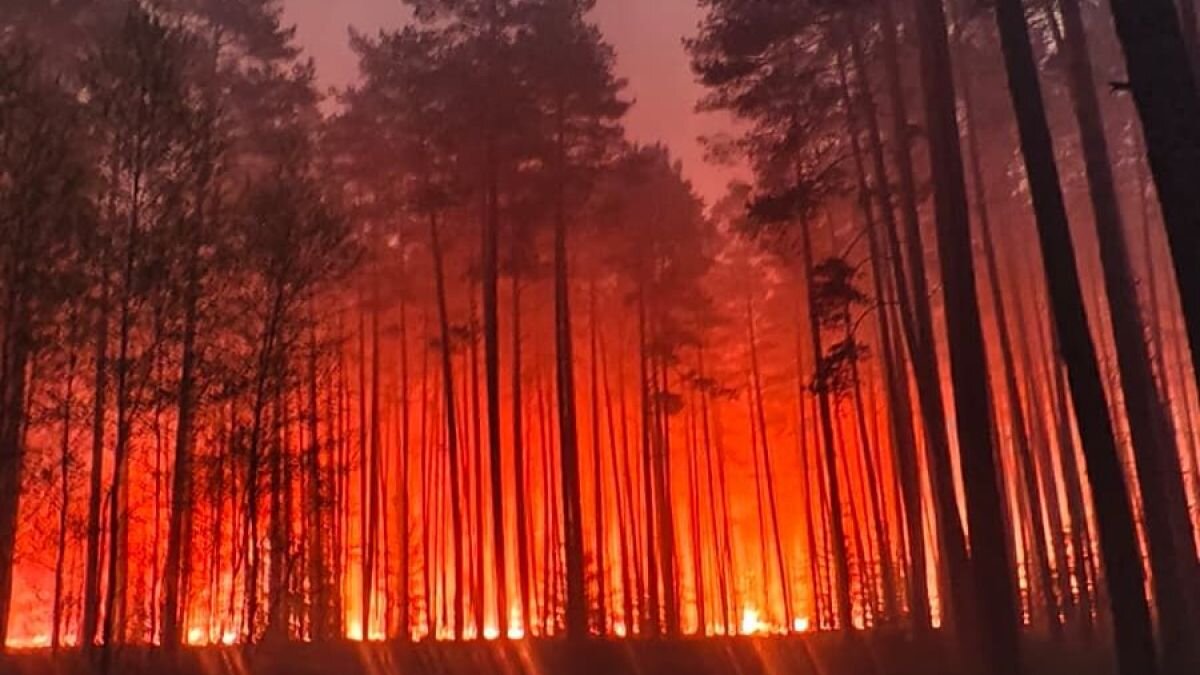 Gelbėjimo operacija Lenkijoje baigėsi tragi&scaron;kai: nukrito ugniagesių lėktuvas