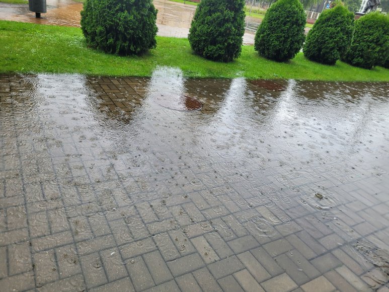 Skaitytojos nuotr./Liūtis skandina Tauragės Atgimimo aikštę