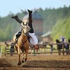 Žirgų Grand Show ir Paroda 2026
