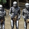 Papua Naujoji Gvinėja