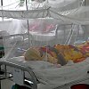 Dengės kar&scaron;tligės kamuojama moteris, Banglade&scaron;as 