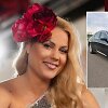 Nijolė Pareigytė-Rukaitienė, parduodamas automobilis
