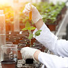 Biotechnologijos žemės ūkyje